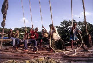 Operating the Chinese fishing nets or Cheena vala in Fort Kochi or Cochin