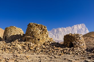 Beehive Tombs of Al-Ayn