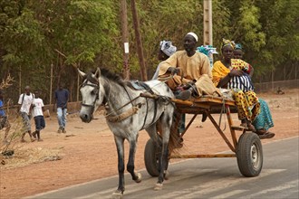 Senegalese family riding horse pulled cart
