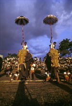 Great elephant march festival in Thiruvananthapuram or Trivandrum