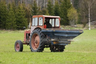Tractor with fertiliser spreader applying nitrogen granulate fertiliser on the field