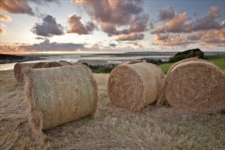 Large round hay bales in a coastal meadow at sunset with views of Instow and the rivers Taw and Torridge