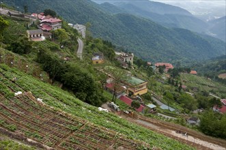 Terraced fields and buildings on slope
