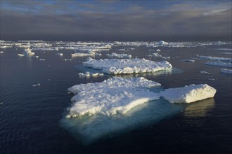 View of the ice-covered sea