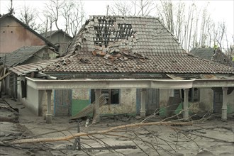 Ash-covered roof of a damaged house and dead trees