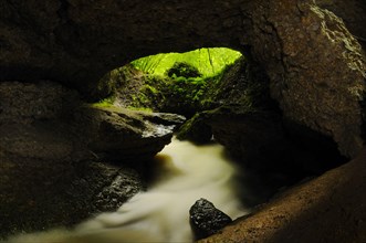 Carsic river flowing through cave in woodland
