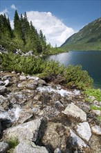 River cascades flowing into montane lake