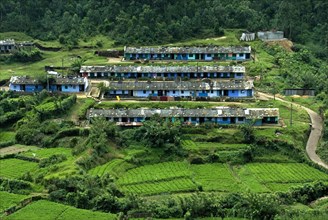 View of tea plantation workers living on the hillside