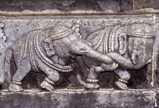 Bas-relief of Elephants in Chennakesava temple at Belur