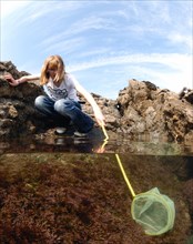Rockpooling of girls in offshore rock pools