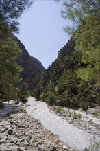 The Samaria Gorge on the Greek island of Crete