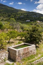Water reservoir for almond and citrus orchards