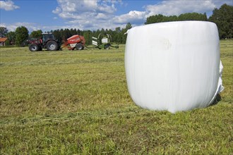 Plastic-wrapped round silage bales in the field