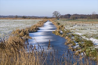 View of a frozen dyke over a snow-covered wetland