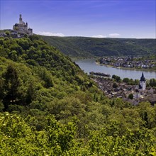 View of the Rhine Valley with Marksburg Castle