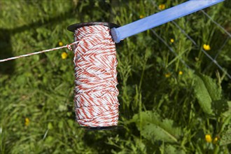 Roll of electric fence wire in pasture on farm