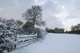 Snow-covered gate