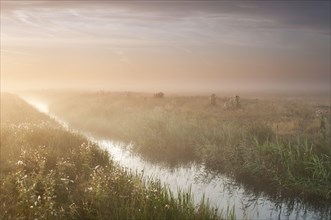 View of a ditch in misty coastal grazing marsh habitat at sunrise