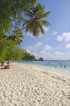 Dream beach Anse Kerlan