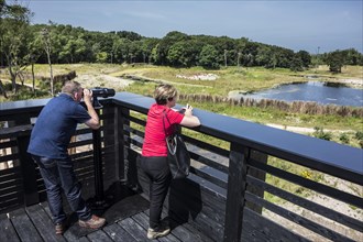 Visitors looking through mounted binoculars from the roof terrace in Zwin nature Park