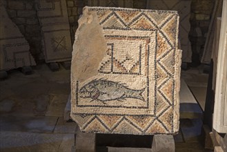 Mosaic with fish