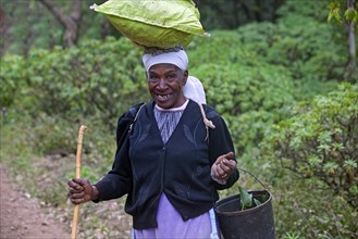 Old Creole woman carrying goods on her head on the island of Sao Nicolau