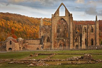 Cistercian Monastic Ruins