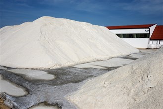 Salt factory