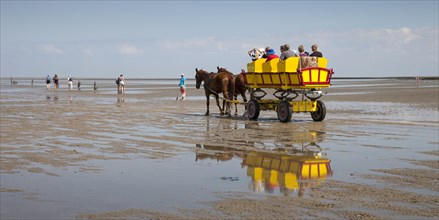Horse-drawn carriage on the mudflats