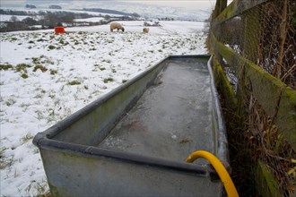 Frozen water trough