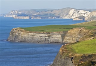 View of coastline with darker clay and white chalk cliffs