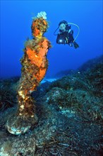 Diver and statue of the Madonna under water