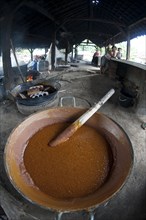 Palm sugar pot in a palm sugar factory near Sukamade