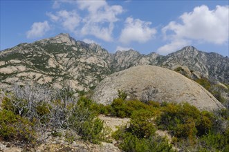 View of the granite mountain habitat on the coast