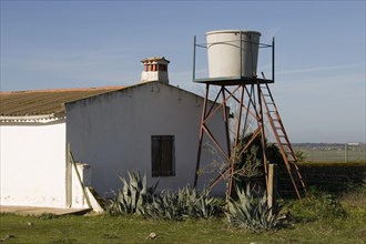 Small farm in the plains of Extremadura