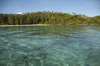 View of island with coral in shallows