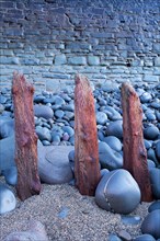 Remains of ancient sea defences emerge from pebbles and shingle in front of modern sea wall on beach