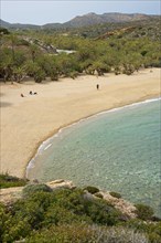 Palm beach of Vai with Cretan