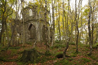 Stone-built folly in woodland habitat