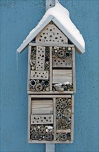 Snow-covered insect hotel built to attract solitary bees