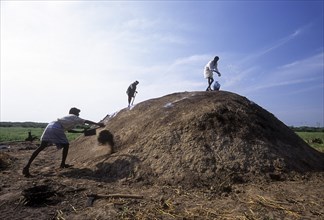 Preparation process for making charcoal from fire wood near Ramanathapuram