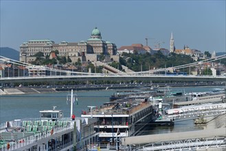 Elisabeth Bridge