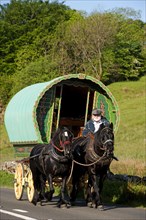 Horse-drawn gypsy caravan on its way to Appleby Horse Fair near Ravenstonedale