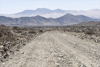 View of the road through stony desert