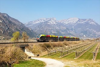 Stadler FLIRT train Regional train of Trenitalia on the Brenner railway near Avio