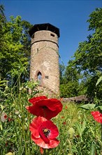 Historic Hachelturm in spring with flowers in the foreground