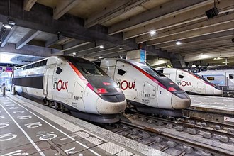 TGV Duplex trains SNCF high speed train at Gare Montparnasse station in Paris