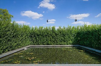 Water Garden Pond