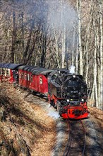 Steam train of the Brockenbahn railway leaving Wernigerode