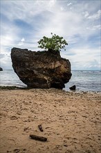Lonely rock at Badung Badung beach in Bali Indonesia